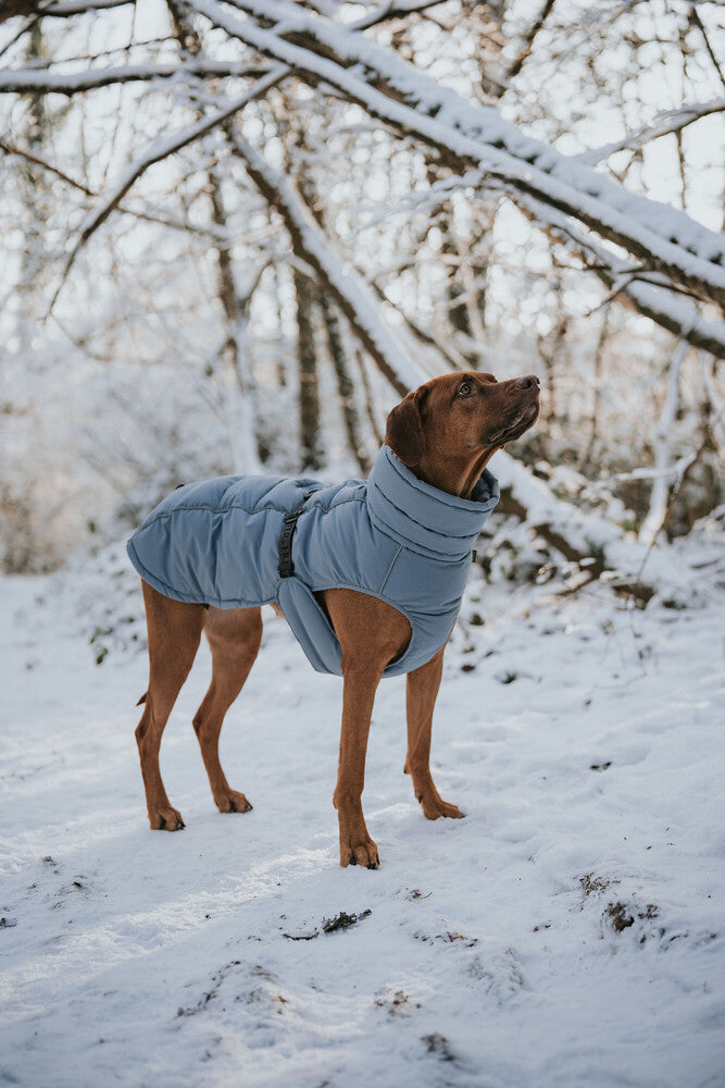 PAXSON kabátik - modrá