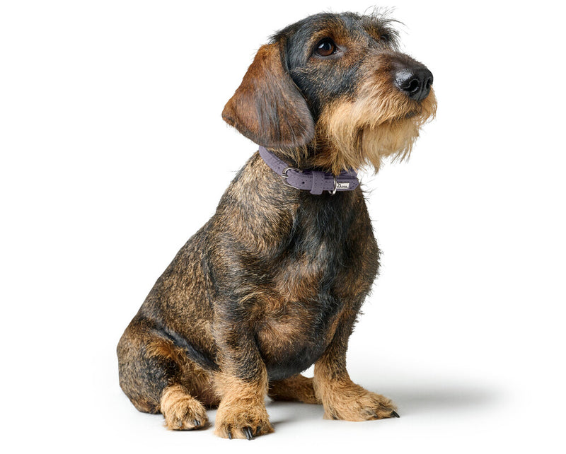 SOHO MINI collar - lilac