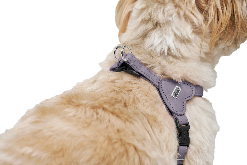 SOHO MINI harness - lilac