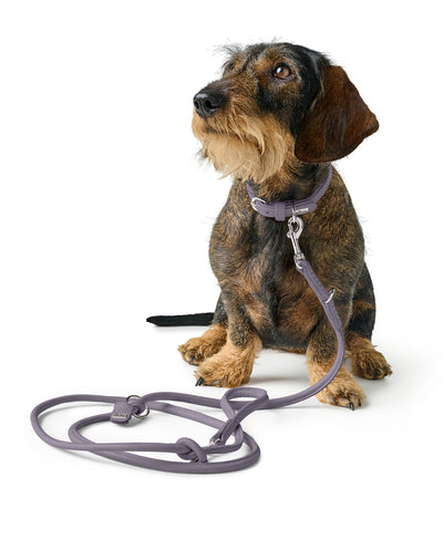 SOHO MINI ROUND adjustable leash - lilac