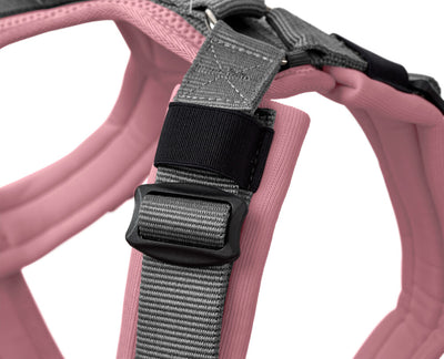 MALDON harness - old pink