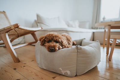 MERIDA HEXAGON orthopedic bed - taupe