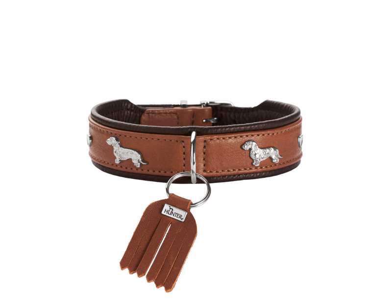 MÜNCHEN Dachshund collar - cognac/black