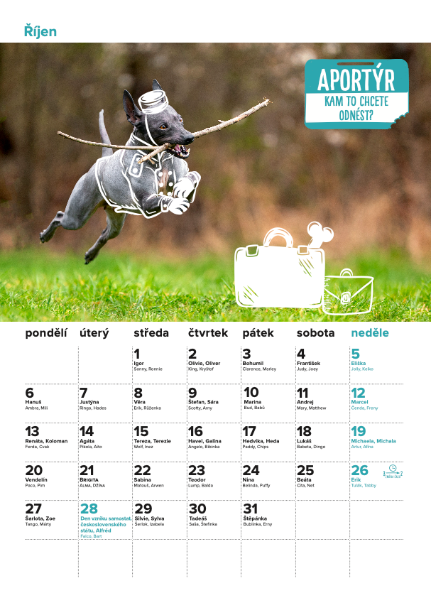 DOGPOINT Charity calendar 2025 - wall