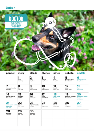 DOGPOINT Charity calendar 2025 - wall