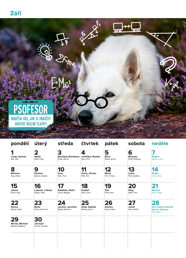 DOGPOINT Charity calendar 2025 - wall