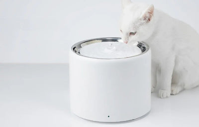 PetKit Eversweet 3 Pro Cat Fountain