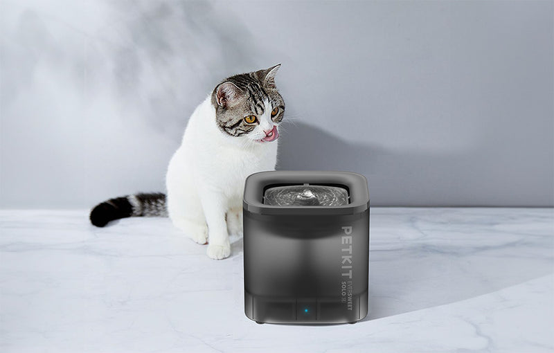 PetKit fontána pre mačky Eversweet Solo SE
