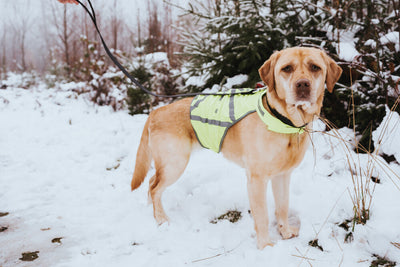 Reflective vest - yellow