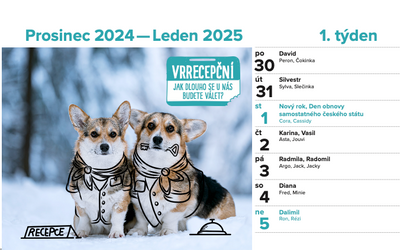 DOGPOINT Charity calendar 2025 - desktop