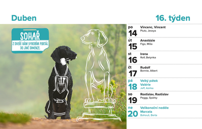 DOGPOINT Charity calendar 2025 - desktop