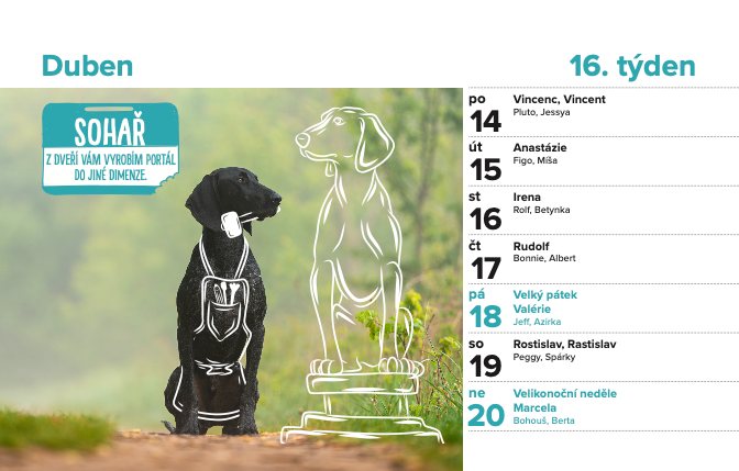 DOGPOINT Charity calendar 2025 - desktop