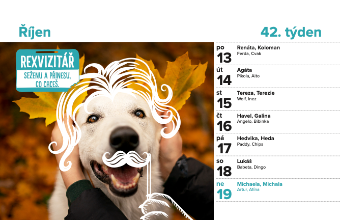 DOGPOINT Charity calendar 2025 - desktop