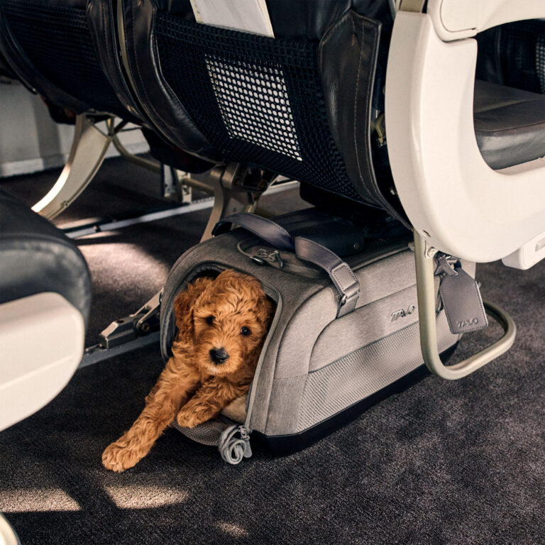 TAVO cestovná taška DUPREE II - merle