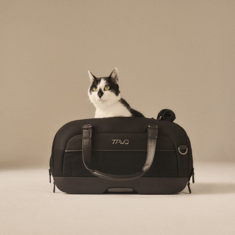 TAVO cestovná taška DUPREE II - onyx