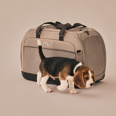 TAVO cestovná taška HENDRICK - onyx