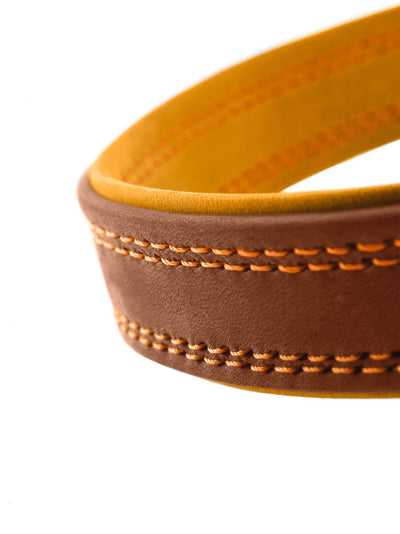 LUCCA collar - brown/mustard