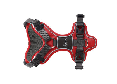 DIVO harness - red