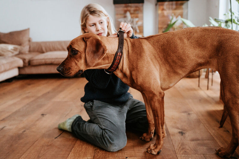 EL PASO collar - dark brown