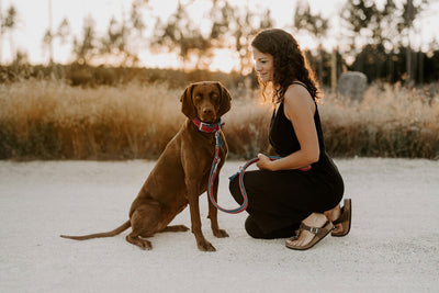 LUCCA adjustable leash - red/turquoise