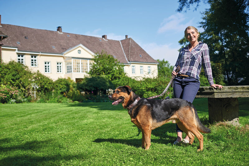 SWISS nastaviteľné vodítko - hnedá