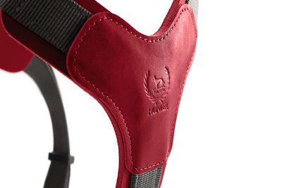 AALBORG MIXED harness - red