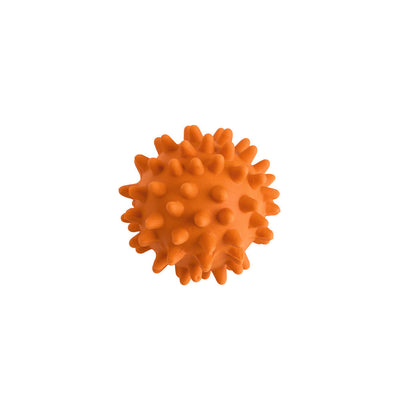 Dog toy BALL with spikes