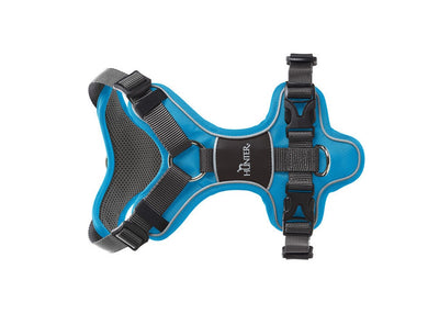 DIVO harness - light blue