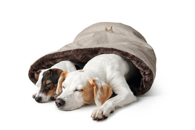 LIVINGSTON dog/cat bed - beige