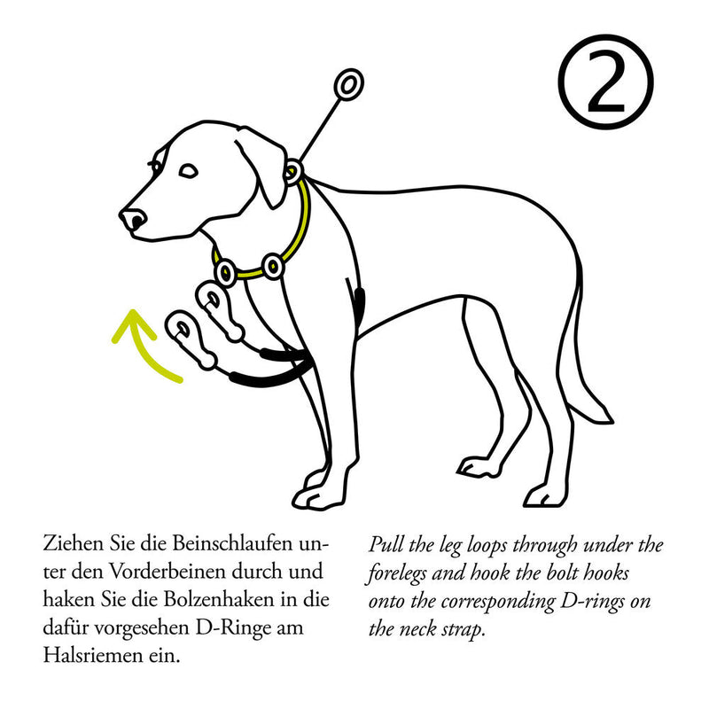 SIDE-BY-SIDE training harness