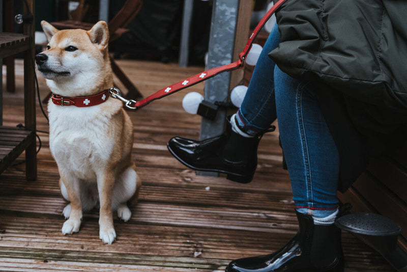 SWISS leash - red