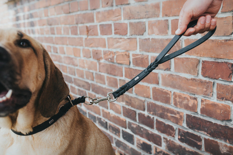 SOLID EDUCATION - short leash (handle) - black