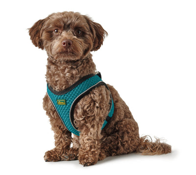 HILO COMFORT harness - turquoise