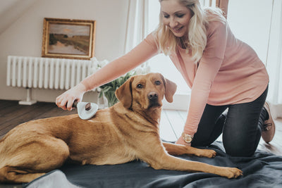 SPA soft brush - self-cleaning