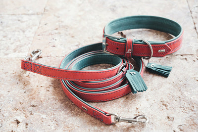 LUCCA collar - red/turquoise