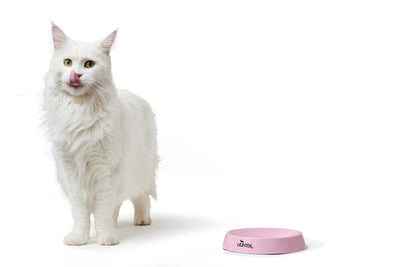 MOULINS cat bowl - pink