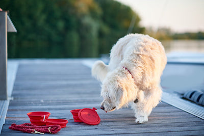 LIST foldable bowl - red