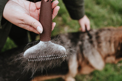 SPA rake for shaggy fur - double row