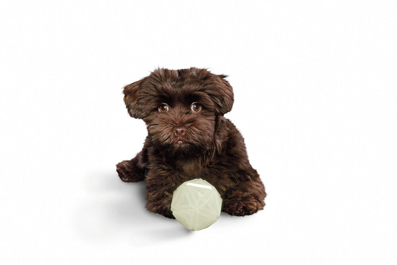 Dog toy KISA Ball