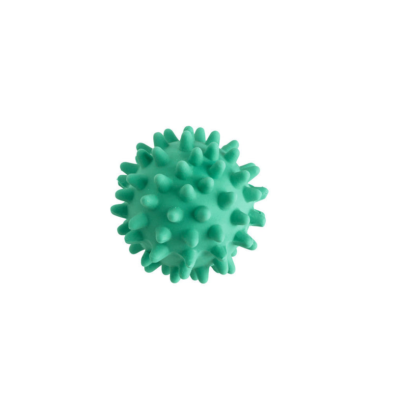 Dog toy BALL with spikes