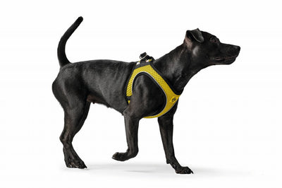 HILO Comfort BVB harness - yellow