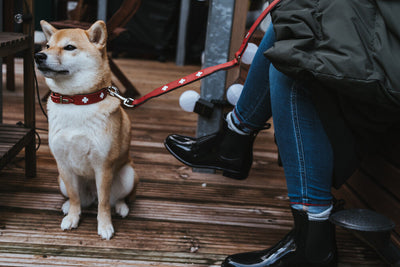 SWISS adjustable leash - red