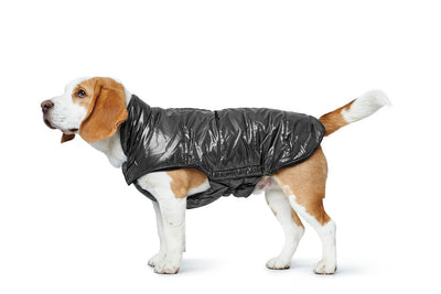 TAMPERE dog coat - black