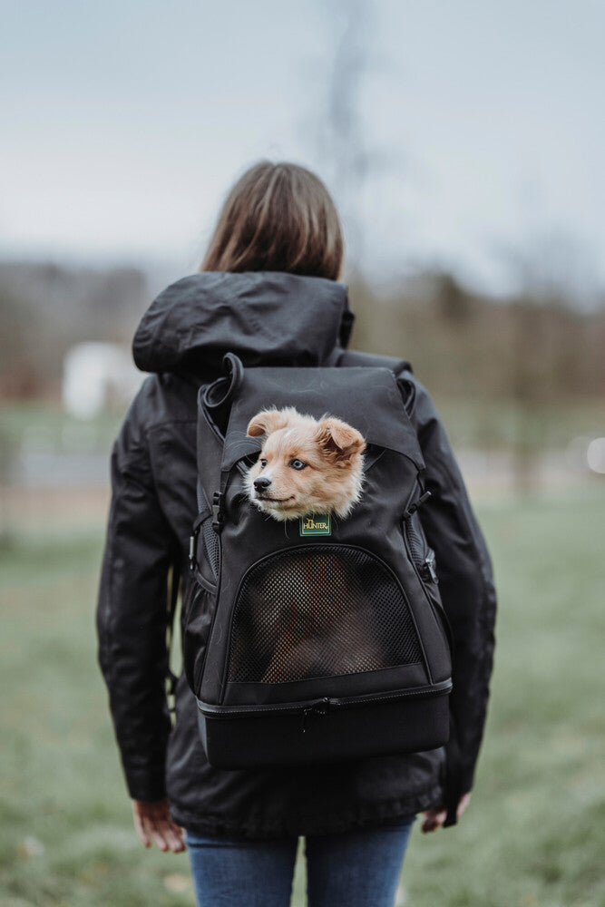 MILES backpack for the plane - black