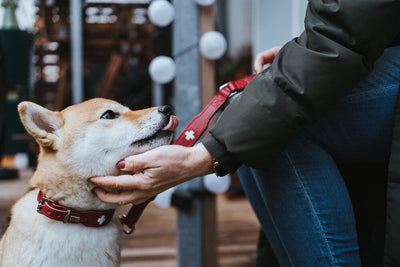 SWISS leash - red