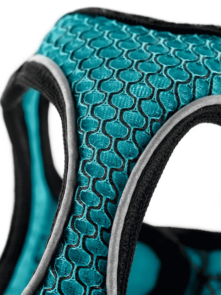 HILO COMFORT harness - turquoise