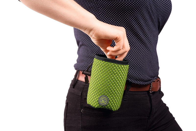 HILO treat pouch - lime