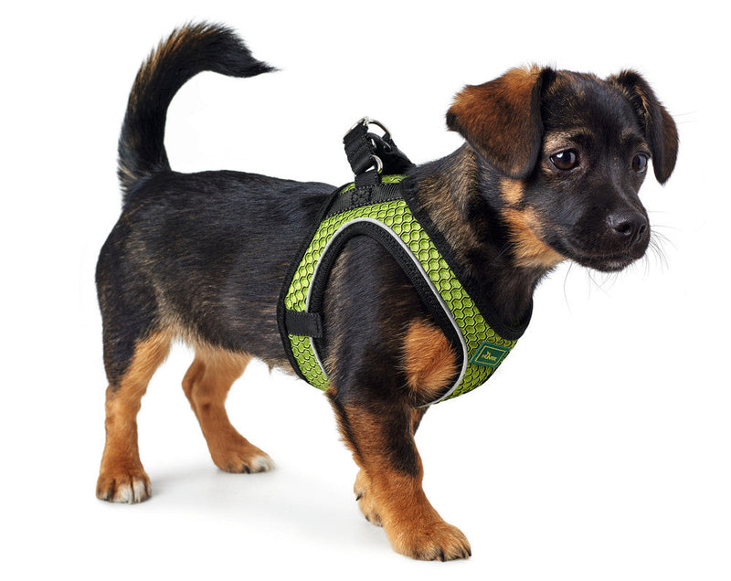 HILO COMFORT harness - lime