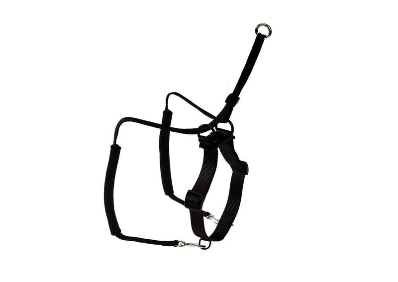 SIDE-BY-SIDE training harness