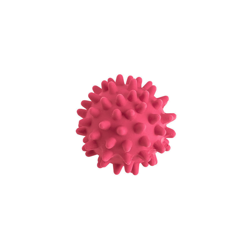 Dog toy BALL with spikes